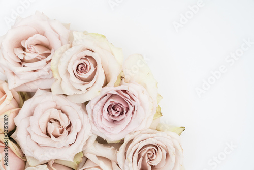 Mocha roses floral flat lay on white background