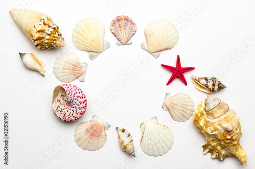 Summer time concept with natural organic color sea shells and starfish on white background, copy space. Flat lay, top view