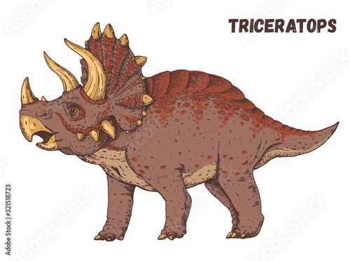 Triceratops dinosaur hand drawn. Vector illustration. Herbivorous dinosaur
