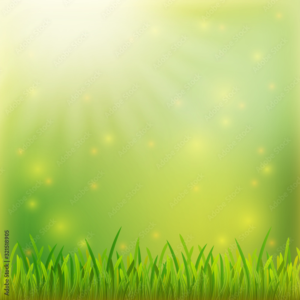 Spring is coming. Green grass background. sunrise soft nature background . for advertising products background. EPS 10