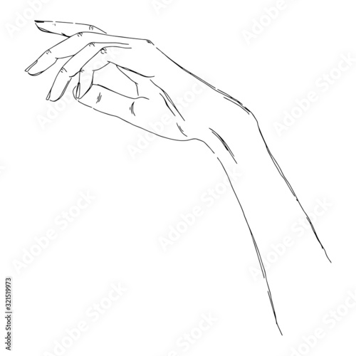 Wallpaper Mural Women hand. Vector illustration Torontodigital.ca
