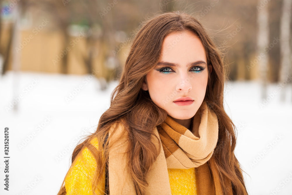 Make up beauty. Portrait of a young beautiful woman in winter park Make up beauty. Portrait of a young beautiful woman in winter park