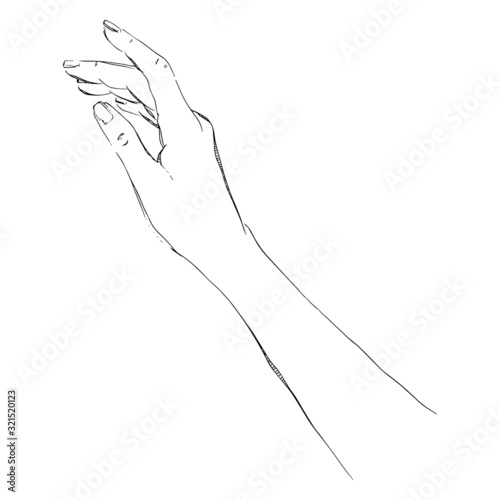 Women hand. Vector illustration