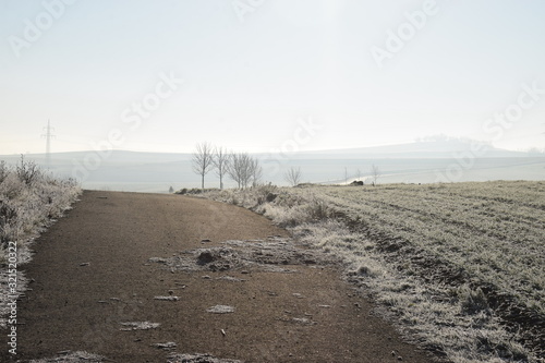 Straße durch dichte Nebelbank photo