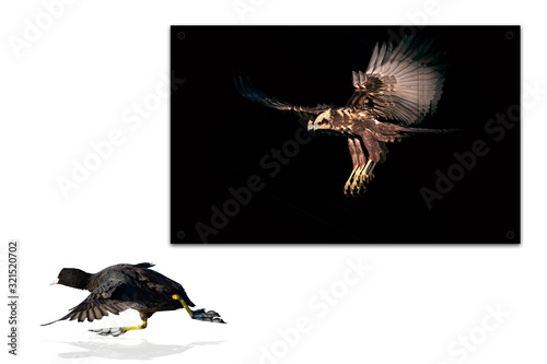 Art gallery. Creative abstract nature. White background.