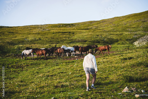 Cowboy goes in direction of beautiful horses on green grassy mountain slope. Stableman with herd of horses on green alpine meadow in sunlight. Brown and white wonderful horses graze on mountainside.