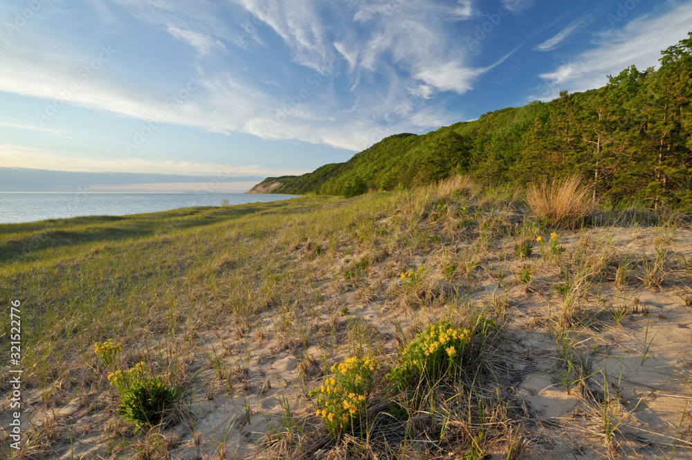 Summer landscape of the Lake Michigan shoreline at Sleeping Bear Dunes National Lakeshore, Michigan, USA