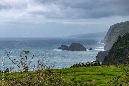 Kohala, Hawaii, USA. - January 15, 2020: Coastline where Pololu valley and its water meets the ocean. Big rocks, tall steep cliffs, green forests and meadow up front, all under heavy blueish cloudscap photo
