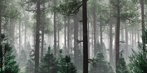 Drzewa we mgle. Dym w lesie rano. Mglisty poranek wśród drzew. renderowanie 3D