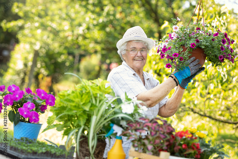 Proud senior woman with blooming flowers Proud senior woman with blooming flowers
