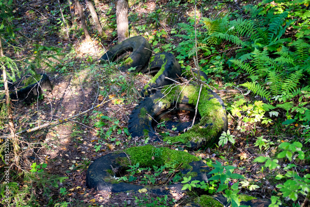 Old tires from the car overgrown with moss. Tires abandoned in the woods. Old tires from the car overgrown with moss. Tires abandoned in the woods.