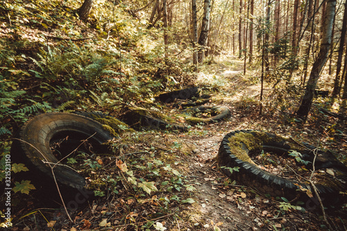 Car tires pollute the forest