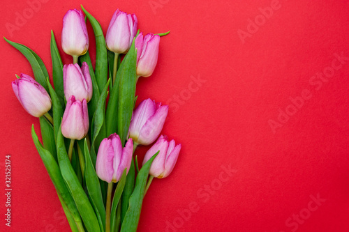 Fototapeta Naklejka Na Ścianę i Meble -  Pink or purple tulip flowers on red background. Top view with copy space. Valentine's day or mother's day concept.