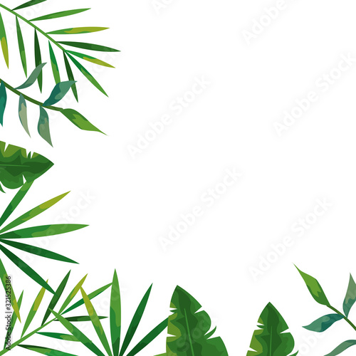 frame of tropical natural leafs isolated icon vector illustration design