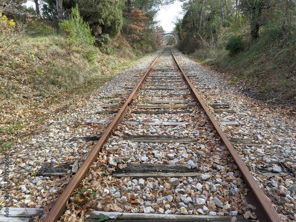 Chemin de fer et rail désafecté transport de marchandise et rouillé ou il y a un vieux train qui