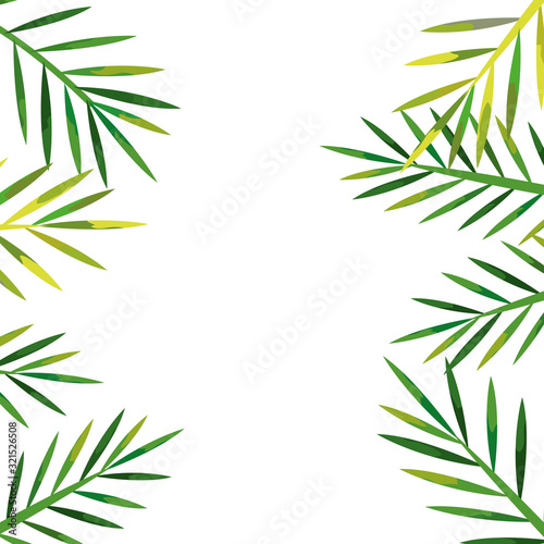 frame of tropical natural leafs isolated icon vector illustration design