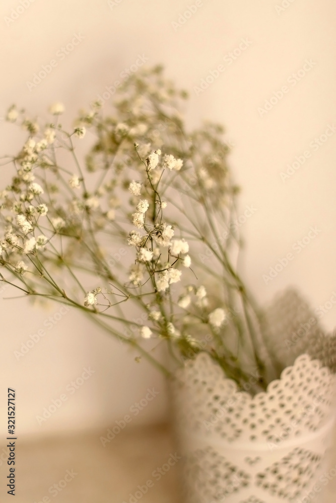 Gypsophila flowers in a white delicate vase. Selective focus.