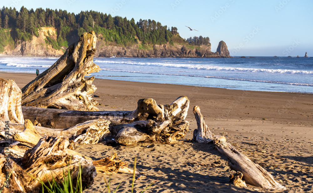Washed up driftwood and logs on Rialto Beach, Olympic National Park, Washington,USA. Washed up driftwood and logs on Rialto Beach, Olympic National Park, Washington,USA.