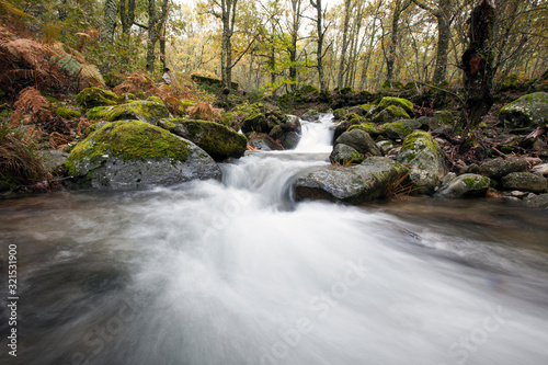 river with silk water in a spanish forest in autumn