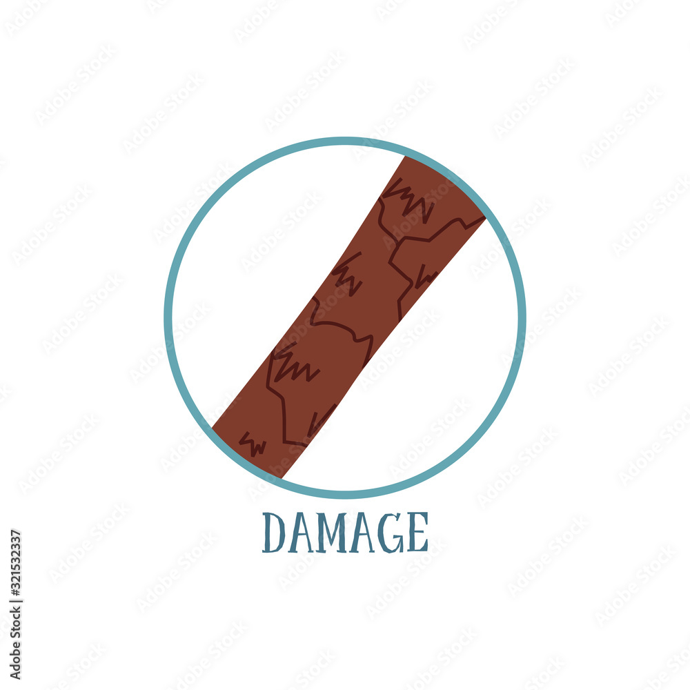 Hair damage - microscope view of brown brunette hair with cracked surface Hair damage - microscope view of brown brunette hair with cracked surface