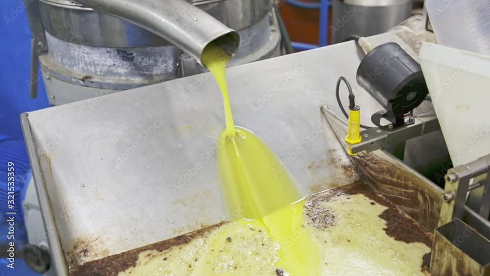 process of oil decanting on artisanal olive oil factory Видео Stock Adobe Stock