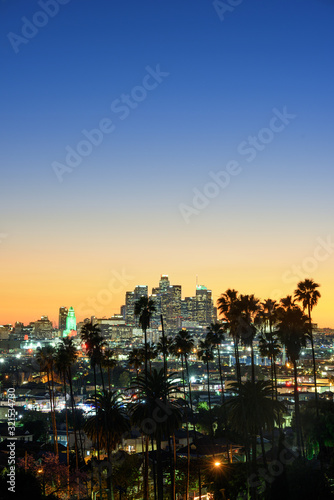 Los Angeles skyline and palm trees in foreground