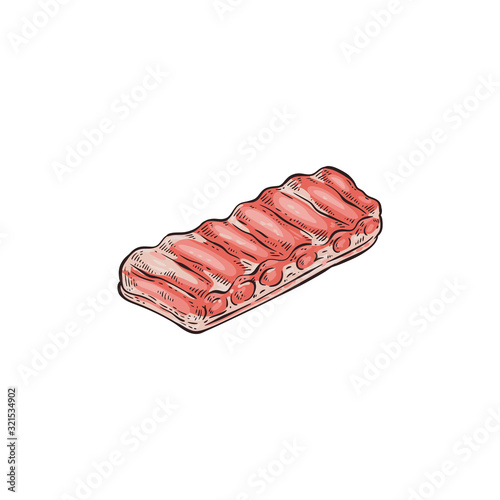 Hand drawn raw pork back ribs for barbecue cooking.