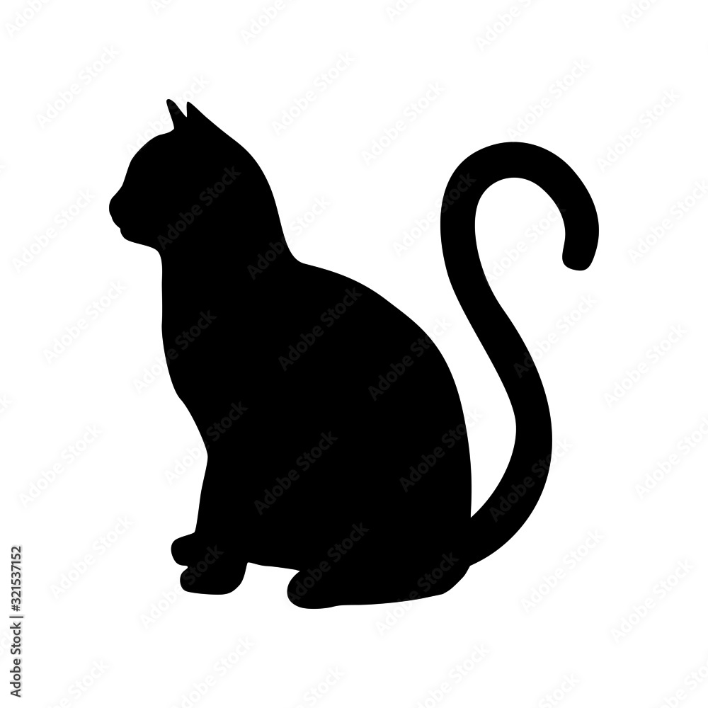 Gato Preto