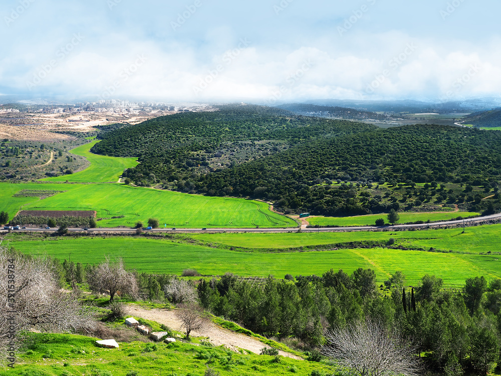 Green fields and hills in the winter of Israel