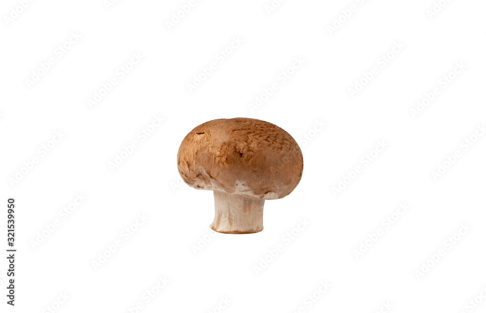 Chestnut mushrooms isolated on white background