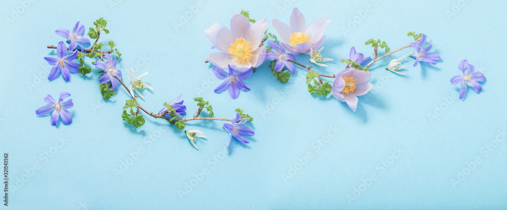 beautiful spring flowers on blue background