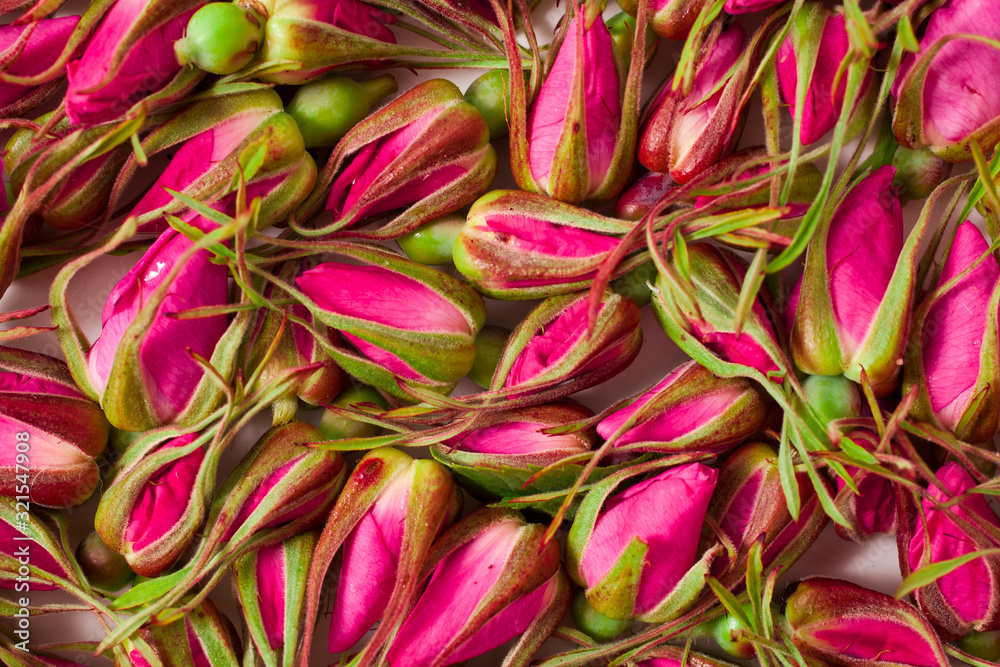 Background of rose buds.