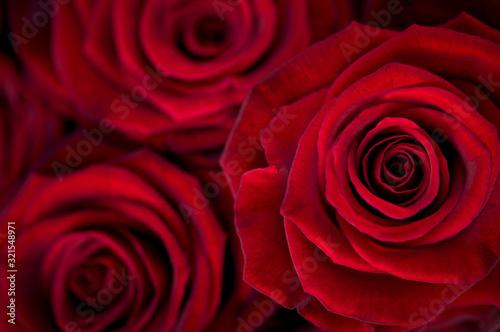 Full frame close-up of bouquet of velvet textured red roses