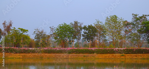 Wat Thung Setthi in Khon Kaen Essan Thailand a temple with beautiful ornaments of Buddha photo