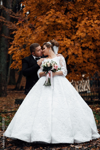 Bride and groom in their wedding day. Happy bride and groom walking. Stylish luxury bride and elegant groom, hugging in the autumn park, on the background. Relationship love concept
