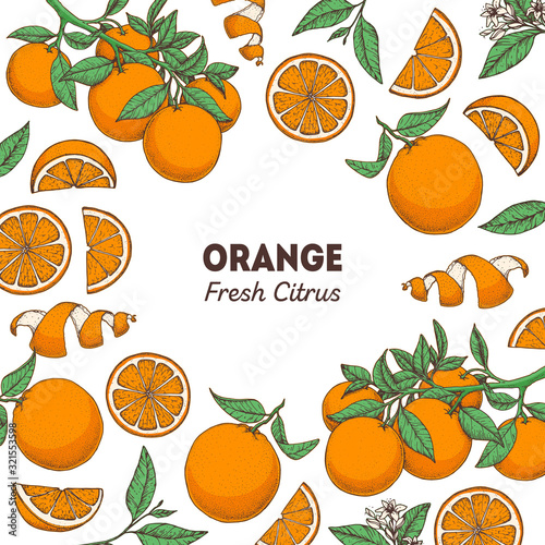 Orange fruit hand drawn package design. Orange tree frame template. Vector illustration. Menu design, brochure illustration. Colorful design. Citrus pattern illustration. Can used for packaging design