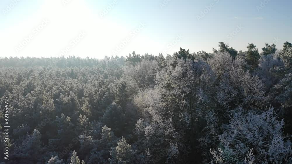 Luftaufnahme Wald bei Frost und Rauhreif