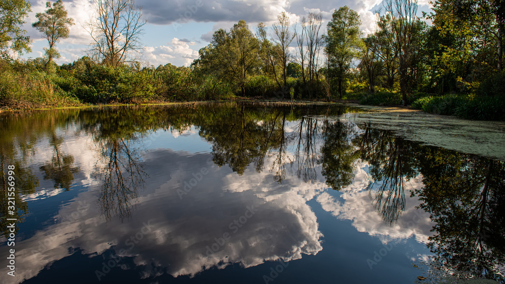 Fototapeta premium Reflection of clouds in the water of a forest lake in the evening.