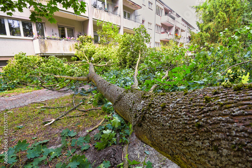 Storm damage with fallen tree, which narrowly missed a house after heavy wind in Berlin, Germany