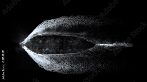 ship wake trail seamless loop texture with alpha, top view, isolated on black
