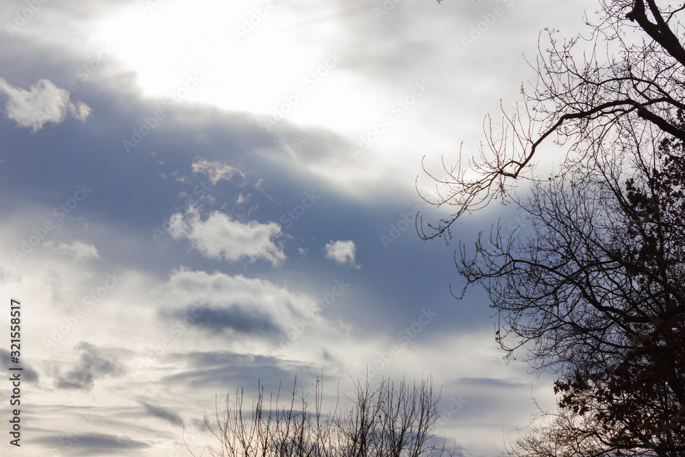 Obraz premium föhn clouds in the sky