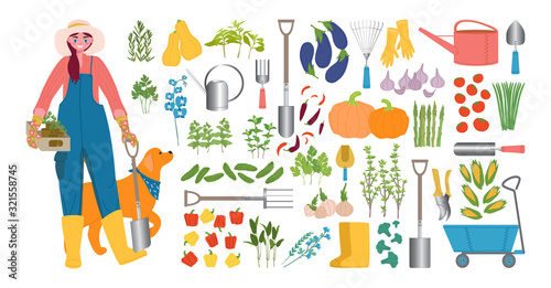 Woman farmer with a shovel, seedlings and a big red dog. Large set of various organic vegetables and Provencal herbs, tools for tillage, planting and irrigation. Flat caricature vector illustration. 