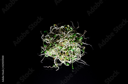 Round bunch of young of radish, lucerne, fenugreek microgreen sprouts on a black background, top view with copyspace