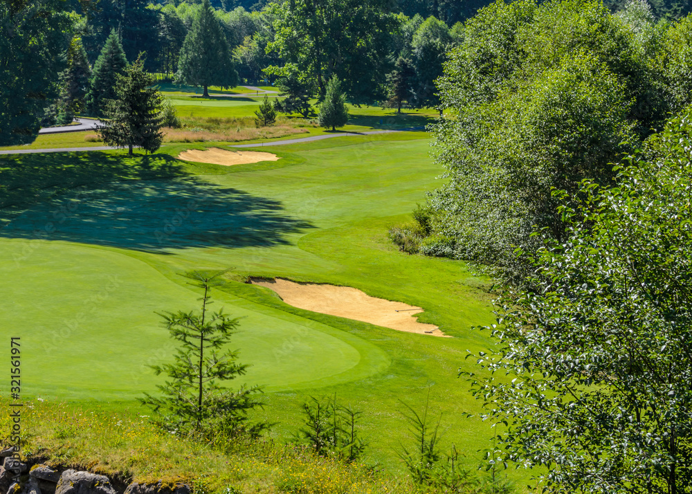 Obraz premium Golf course with yellow sand bunker and fantastic forest view.