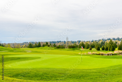 Golf course with flag and fantastic forest view.