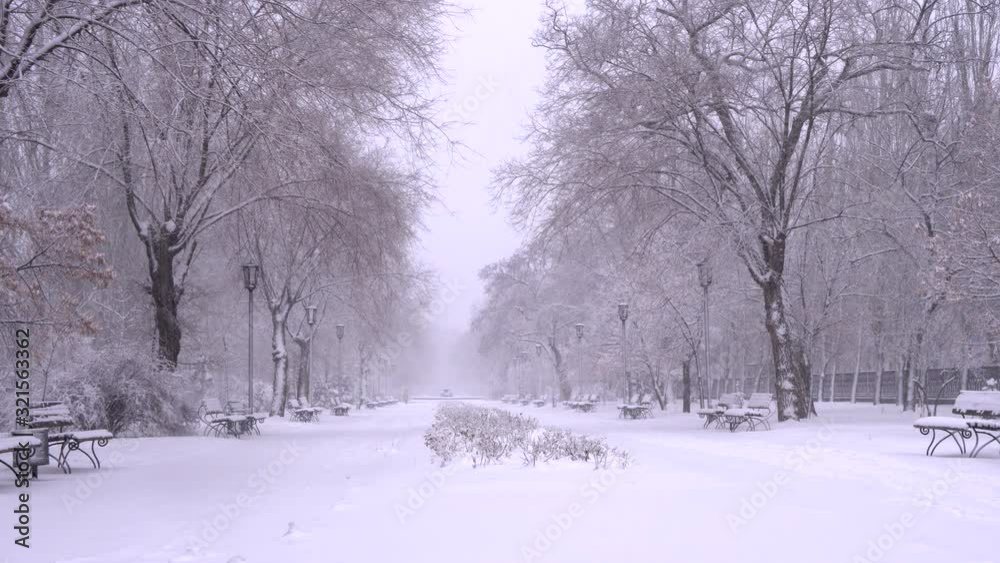 woman in warm winter clothes walks along the park alley on cold windy winter day. Snowfall and blizzard on street. Girl freezes and hurries home woman in warm winter clothes walks along the park alley on cold windy winter day. Snowfall and blizzard on street. Girl freezes and hurries home