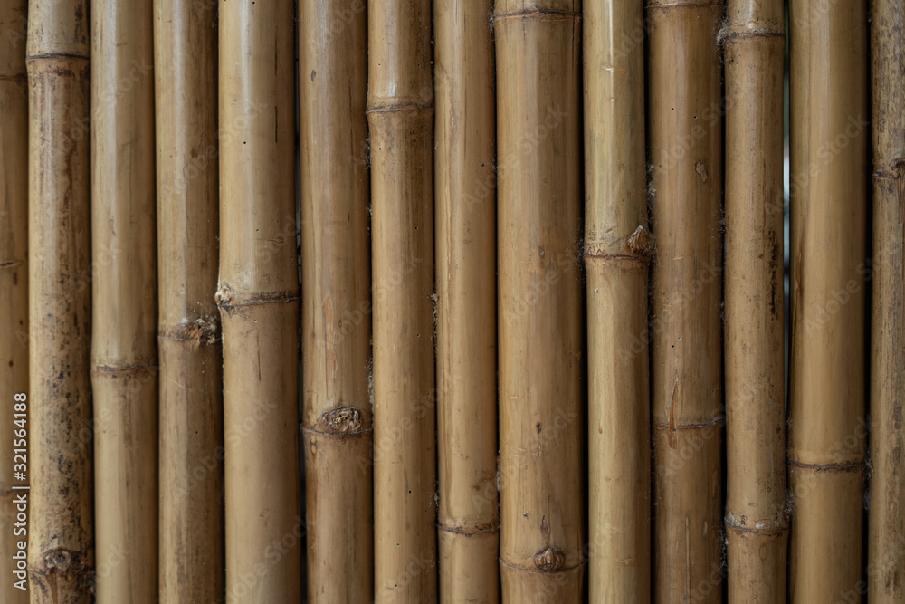 Fototapeta premium Old bamboo fence in warm colors