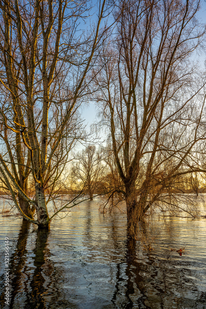 Flood on the Rhine near Leverkusen, Germany.