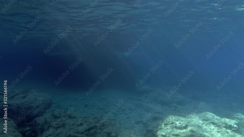 Rocky sea bottom in sun rays. Underwater seascape. Camera moving forwards Rocky sea bottom in sun rays. Underwater seascape. Camera moving forwards