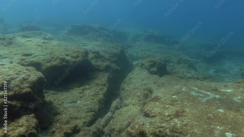 Rocky sea bottom in sun rays. Underwater seascape. Camera moving forwards Rocky sea bottom in sun rays. Underwater seascape. Camera moving forwards